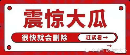 娱乐圈吃瓜合集视频网
